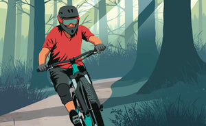 Whinlatter Forest MTB Guide: Trails, Difficulty, Routes