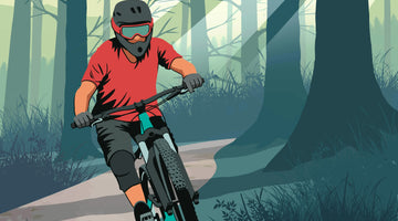 Whinlatter Forest MTB Guide: Trails, Difficulty, Routes